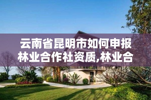 云南省昆明市如何申报林业合作社资质,林业合作社优惠政策