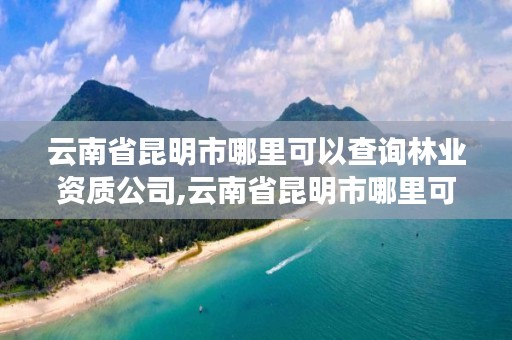 云南省昆明市哪里可以查询林业资质公司,云南省昆明市哪里可以查询林业资质公司信息