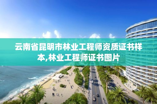 云南省昆明市林业工程师资质证书样本,林业工程师证书图片