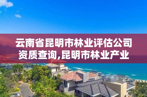 云南省昆明市林业评估公司资质查询,昆明市林业产业投资开发有限公司