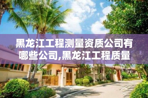 黑龙江工程测量资质公司有哪些公司,黑龙江工程质量检测有限公司