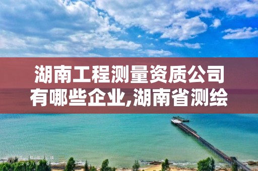 湖南工程测量资质公司有哪些企业,湖南省测绘公司有哪些