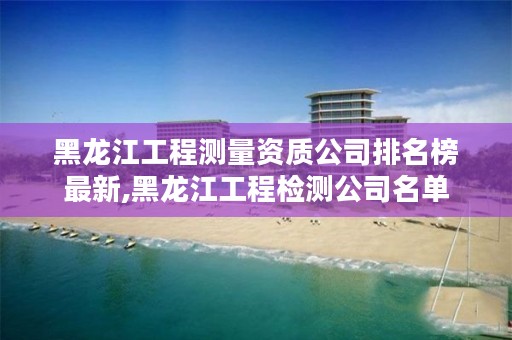 黑龙江工程测量资质公司排名榜最新,黑龙江工程检测公司名单