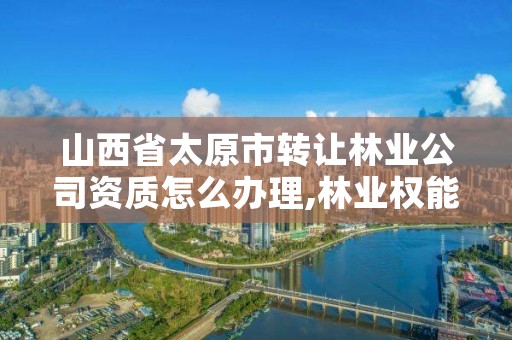 山西省太原市转让林业公司资质怎么办理,林业权能否转让