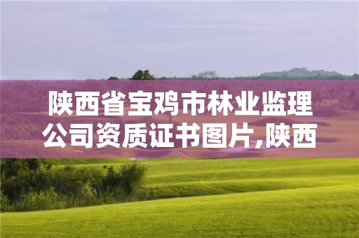 陕西省宝鸡市林业监理公司资质证书图片,陕西省宝鸡市林业监理公司资质证书图片查询