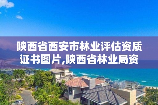 陕西省西安市林业评估资质证书图片,陕西省林业局资源处电话