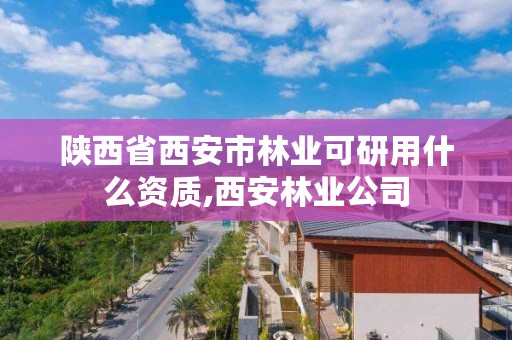 陕西省西安市林业可研用什么资质,西安林业公司