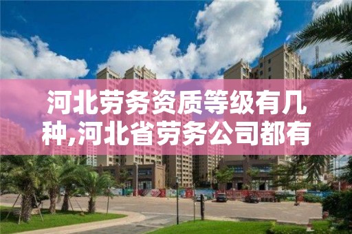 河北劳务资质等级有几种,河北省劳务公司都有哪些