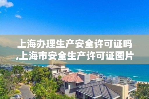 上海办理生产安全许可证吗,上海市安全生产许可证图片