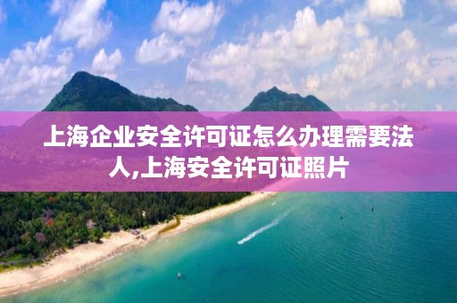 上海企业安全许可证怎么办理需要法人,上海安全许可证照片