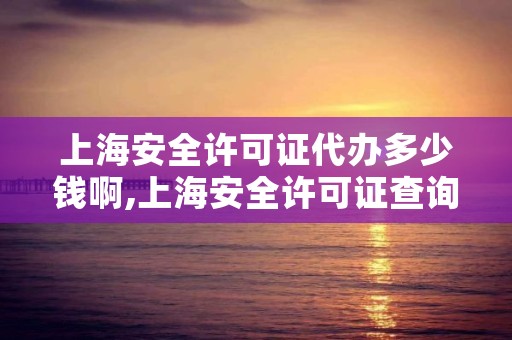 上海安全许可证代办多少钱啊,上海安全许可证查询官网