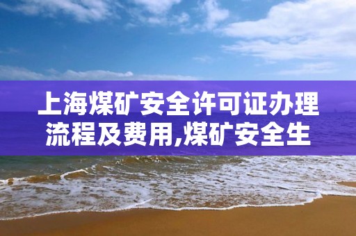 上海煤矿安全许可证办理流程及费用,煤矿安全生产许可证在哪里办