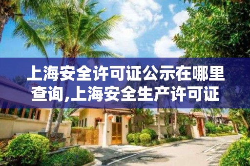 上海安全许可证公示在哪里查询,上海安全生产许可证在哪办