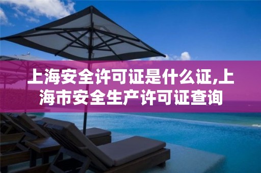 上海安全许可证是什么证,上海市安全生产许可证查询