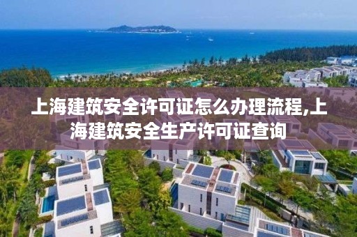 上海建筑安全许可证怎么办理流程,上海建筑安全生产许可证查询