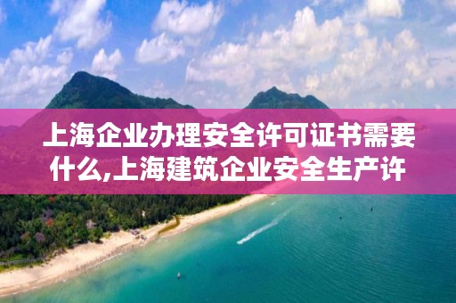 上海企业办理安全许可证书需要什么,上海建筑企业安全生产许可证