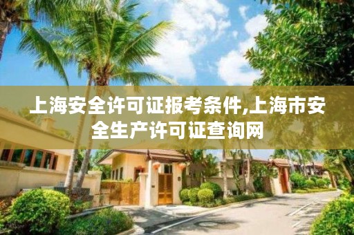 上海安全许可证报考条件,上海市安全生产许可证查询网