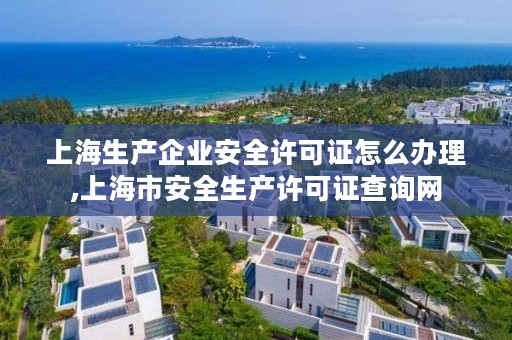 上海生产企业安全许可证怎么办理,上海市安全生产许可证查询网