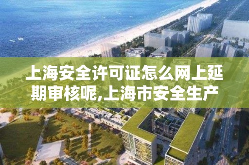 上海安全许可证怎么网上延期审核呢,上海市安全生产许可证