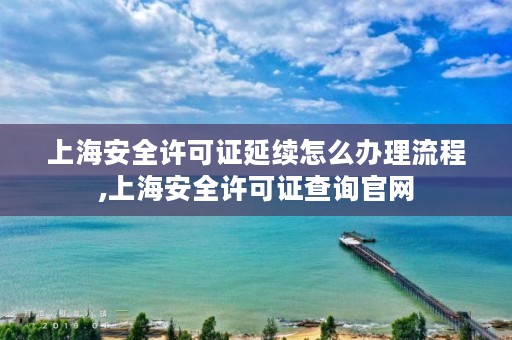 上海安全许可证延续怎么办理流程,上海安全许可证查询官网