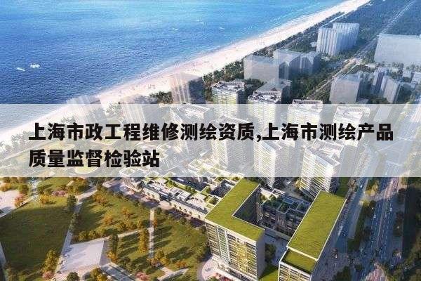 上海市政工程维修测绘资质,上海市测绘产品质量监督检验站